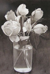58, Rosebuds, 10x 6 3/4 2005 wc. Not available.
