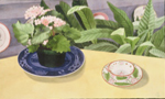 67, Primrose on Yellow Table, 14 1/2 x 24 1991 wc. Please inquire.