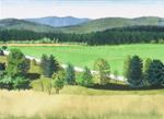 7, Field With Grid wc 2002 10 x 13 3/4. Not Available.